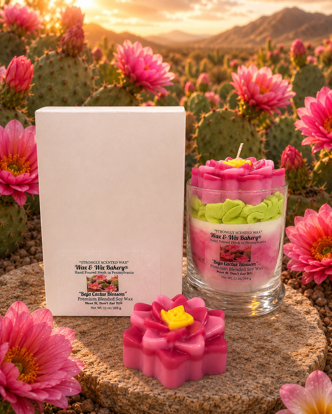 Baja Cactus Blossom Candle. Large 13 oz. Soy Candle/Spring Summer Candle. Cactus, Flower. Strongly Scented Soy Wax Candle
